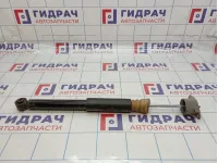 Амортизатор задний правый Ford Fiesta (Mk VI) DS02195