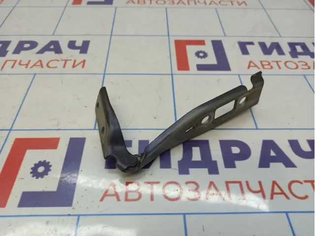 Петля капота правая Ford Fiesta (Mk VI) 1324621