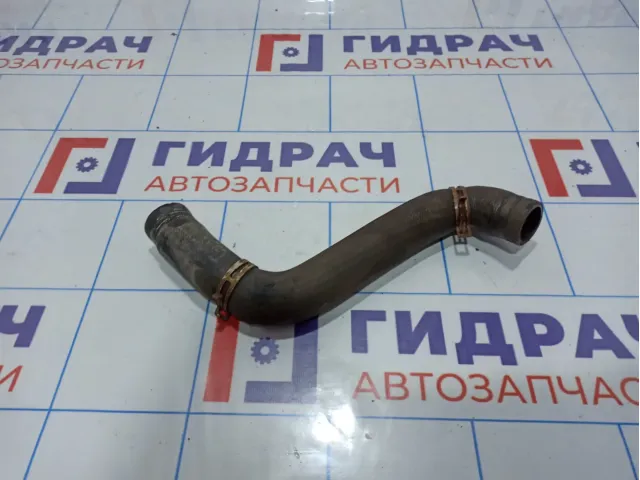 Патрубок радиатора Ford Fiesta (Mk VI) 1546445