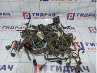 Фишка разъем Ford Fiesta (Mk VI)