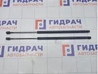 Амортизатор крышки (двери) багажника (пара) Ford Fiesta 1224731