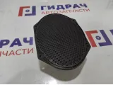 Динамик Ford Fiesta (Mk VI) 5010180.