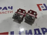 Петли двери багажника Ford Fiesta (Mk VI) . Комплект.