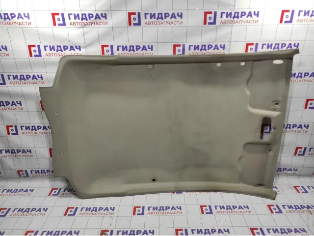 Обшивка потолка Ford Fiesta (Mk VI) 1524318.