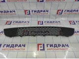 Решетка в бампер центральная Ford Fiesta (Mk VI) 1424462. Аналог.