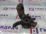 Кулак поворотный передний левый Ford Fiesta (Mk VI) 1479001.