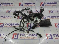 Проводка (коса) подкапотная Ford Fiesta (Mk VI) 1517141. С блоком управления двигателем 1360194.