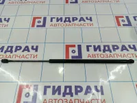 Амортизатор двери багажника Ford Fiesta (Mk VI) 2S61A406A10AC