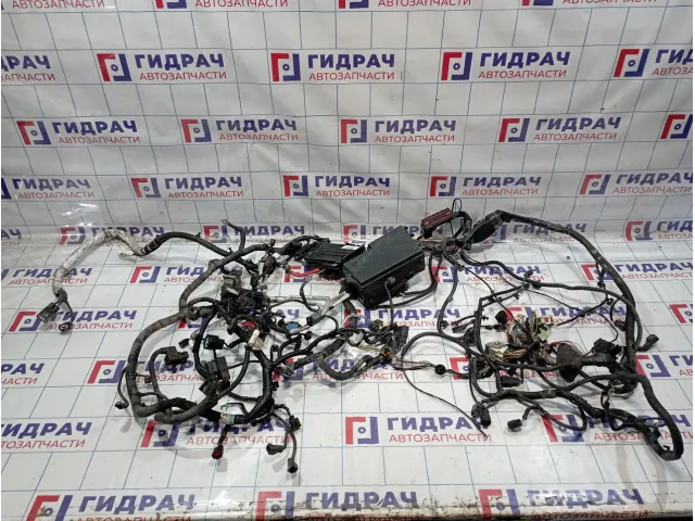 Проводка подкапотная Ford Focus 3