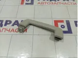 Ручка потолочная Ford Focus 1386022