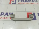 Ручка потолочная Ford Focus 1386022