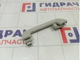 Ручка потолочная Ford Focus 1386023