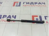 Амортизатор крышки (двери) багажника Ford Focus 5M51F406A10AB