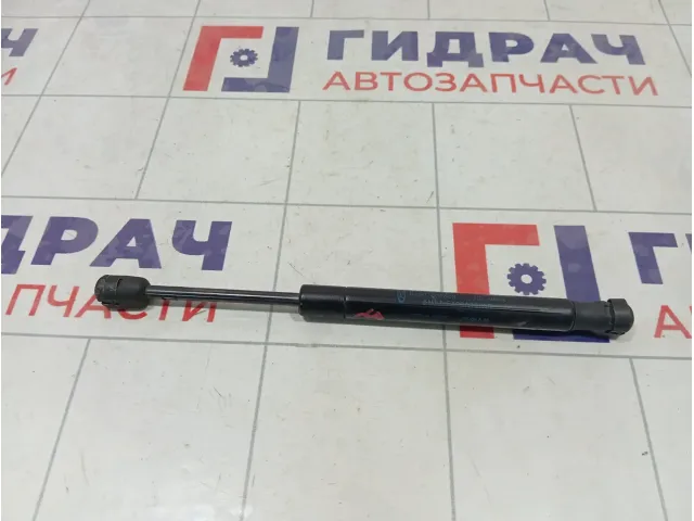 Амортизатор крышки (двери) багажника Ford Focus 5M51F406A10AB