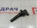 Катушка зажигания Ford Focus 5047437