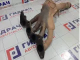 Коллектор выпускной Ford Focus