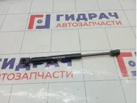 Амортизатор крышки (двери) багажника Ford Focus 1692162