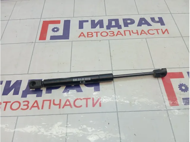 Амортизатор крышки (двери) багажника Ford Focus 1692162