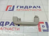 Ручка потолочная Ford Focus 1386023