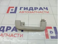 Ручка потолочная Ford Focus 1386023