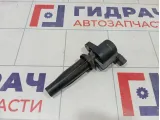 Катушка зажигания Ford Focus 5047437