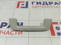 Ручка потолочная Ford Focus 1386022