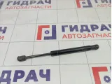 Амортизатор крышки (двери) багажника Ford Focus 1692162
