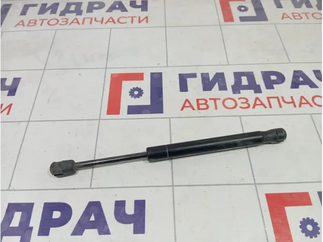 Амортизатор крышки (двери) багажника Ford Focus 1692162