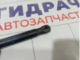 Амортизатор крышки (двери) багажника Ford Focus 1692162