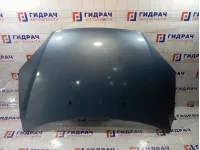 Капот Ford Focus 1505771