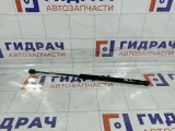 Амортизатор крышки (двери) багажника Ford Focus 1321021