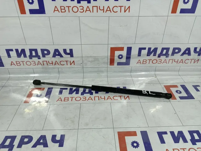 Амортизатор крышки (двери) багажника Ford Focus 1321021