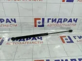 Амортизатор крышки (двери) багажника Ford Focus 1321021