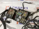 Проводка подкапотная Ford Focus 5M5T14K733RNF