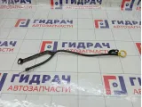 Щуп масляный Ford Focus 5215041