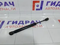 Амортизатор крышки (двери) багажника Ford Focus 1692162