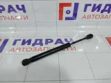Амортизатор крышки (двери) багажника Ford Focus 1692162