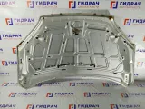 Капот Ford Focus 1505771