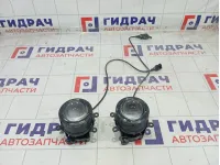 Фара противотуманная Ford Focus