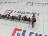 Распредвал впускной Ford Focus 5147548
