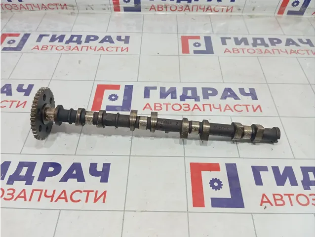 Распредвал выпускной Ford Focus 5147560