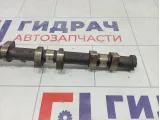 Распредвал выпускной Ford Focus 5147560