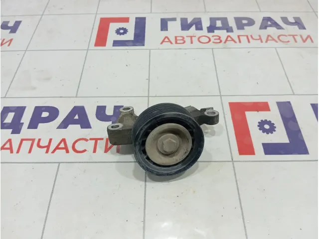 Ролик ручейкового ремня Ford Focus 1465253
