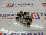 Толкатель клапана (комплект) Ford Focus 5103473