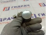 Толкатель клапана (комплект) Ford Focus 5103473