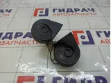 Сигнал звуковой Ford Focus