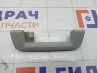 Ручка потолочная Ford Focus 1386023