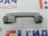 Ручка потолочная Ford Focus 1386023