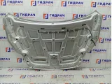 Капот Ford Focus 1521601
