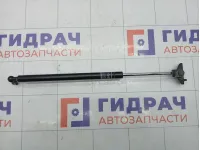 Амортизатор капота Ford Focus 4VK15F28